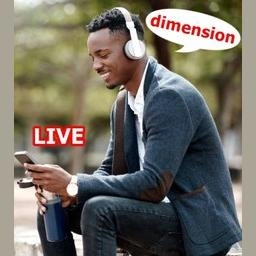 Dimension Brasilien Netzwerk live