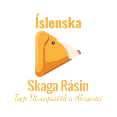 Íslenska Skaga Rásin live