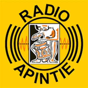 Apintie Suriname 97.1 FM - Powered by Bombelman.com live