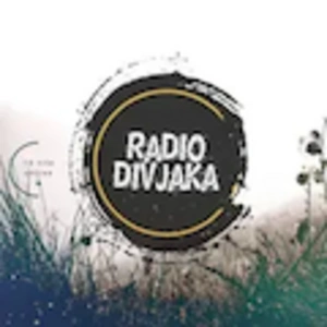 Divjaka Radio live