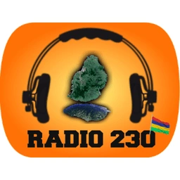 Radio 230