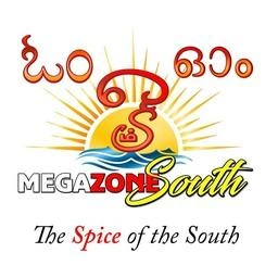 Megazone South live