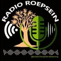 Radio Roepsein live